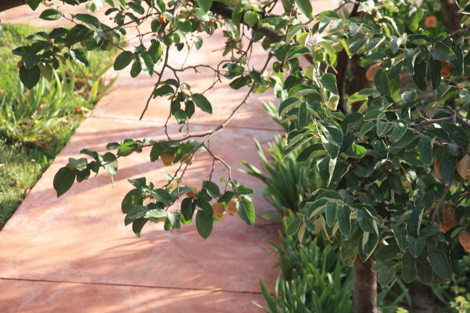 Villa Quince Ouirgane Exterior photo